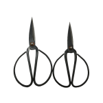 SCISSOR