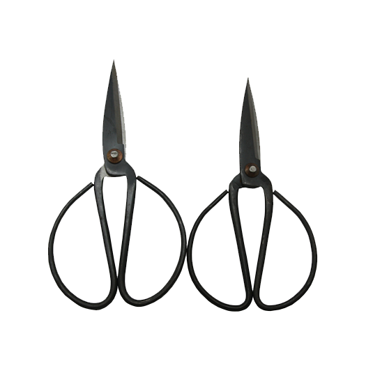 SCISSOR