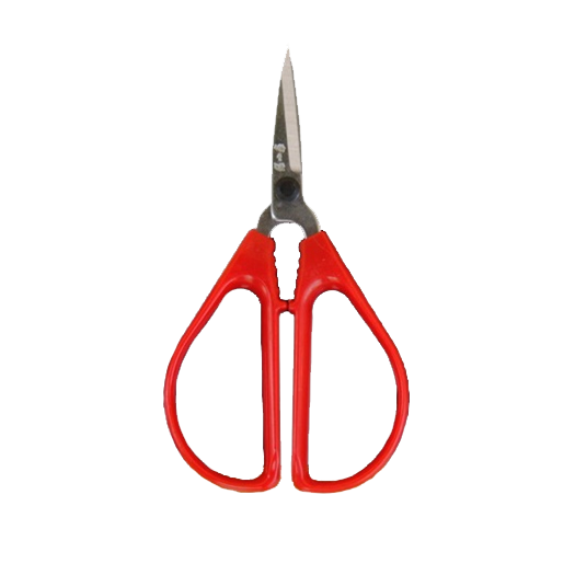 SCISSORS