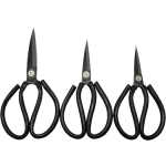 SCISSOR
