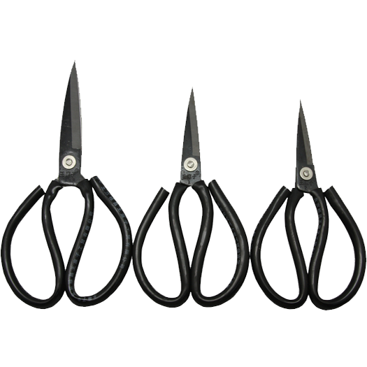 SCISSOR